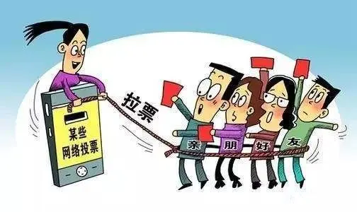 网络人工投票安全吗_网络人工投票服务_投票人工网络服务怎么做