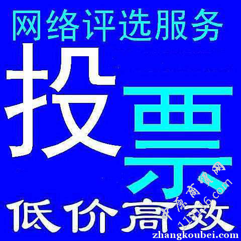 投票人工免费网站手机端_手机免费人工投票网站_人工投票软件下载