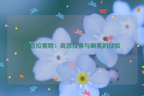 微信拉票群：高效投票与刷票的经验