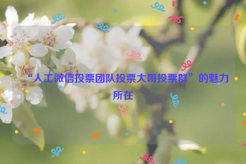 “人工微信投票团队投票大哥投票群”的魅力所在